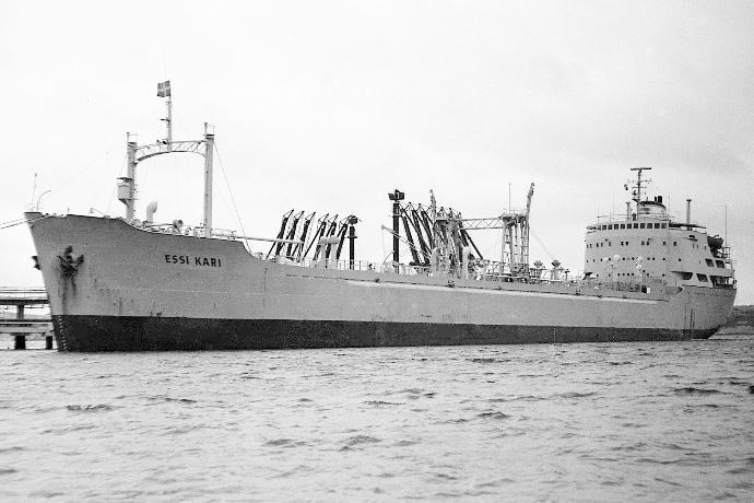 OSL30719660120001 ESSI KARI