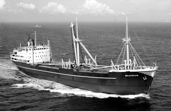 OSL31119570120001 BELEVELYN