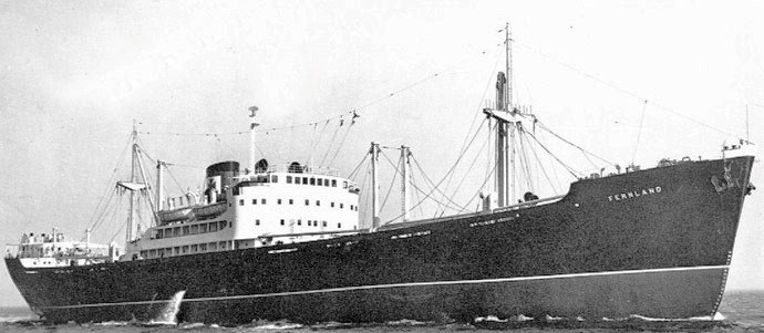 OSL31719480120001 FERNLAND