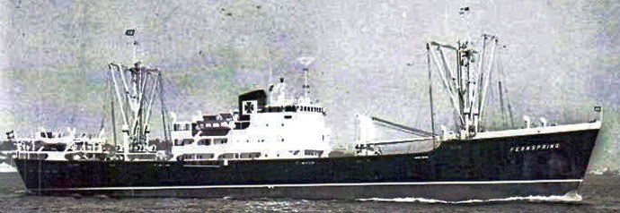 OSL31719550620001 FERNSPRING