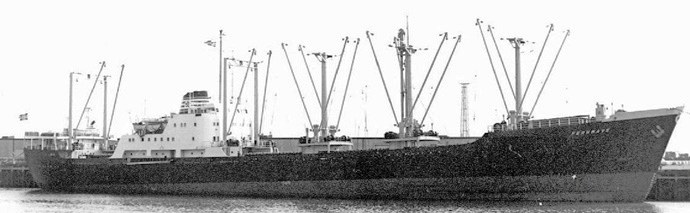 OSL31719590120001 FERNWAVE