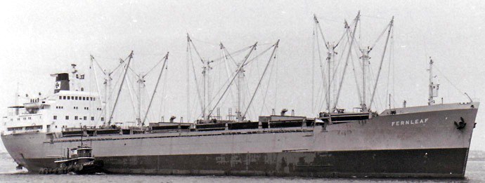 OSL31719650120001 FERNLEAF