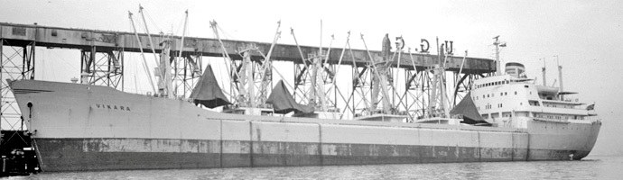 OSL33419630120001 VIKARA
