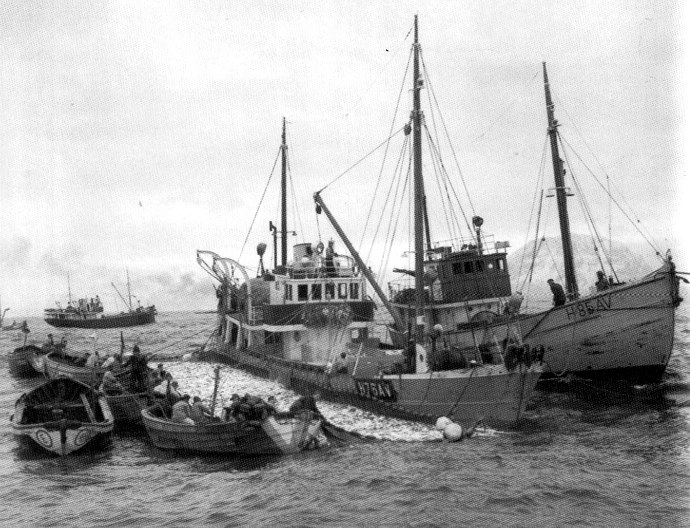 OSL33619430320001 SNURP VIII