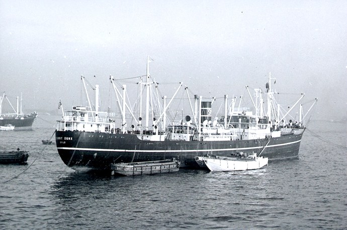 OSL33619600220001 SUNNY DUKE