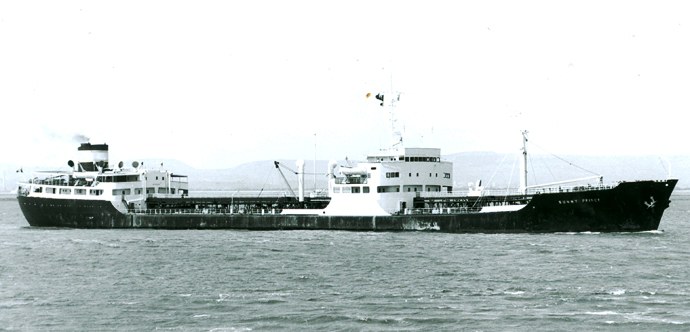 OSL33619690120001 SUNNY PRINCE