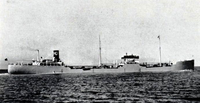 OSL33719310120001 FALKEFJELL