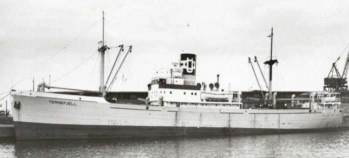 OSL33719480420001 TERNEFJELL