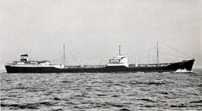 OSL33719510220001 RONDEFJELL
