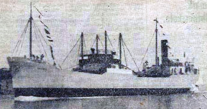 OSL33919340120001 HAVMOY
