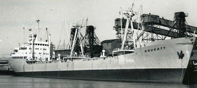 OSL33919590220001 HAVKATT