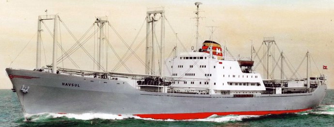 OSL33919590320001 HAVSUL