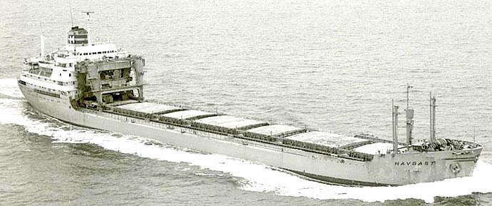 OSL33919630220001 HAVGAST