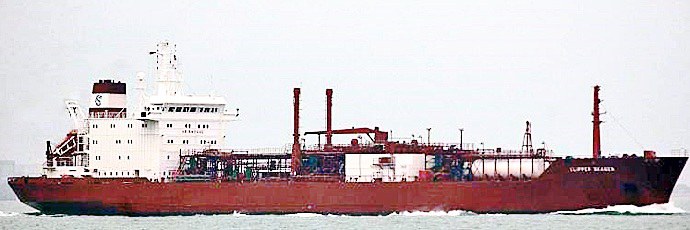 OSL33919940220001 HAVKATT