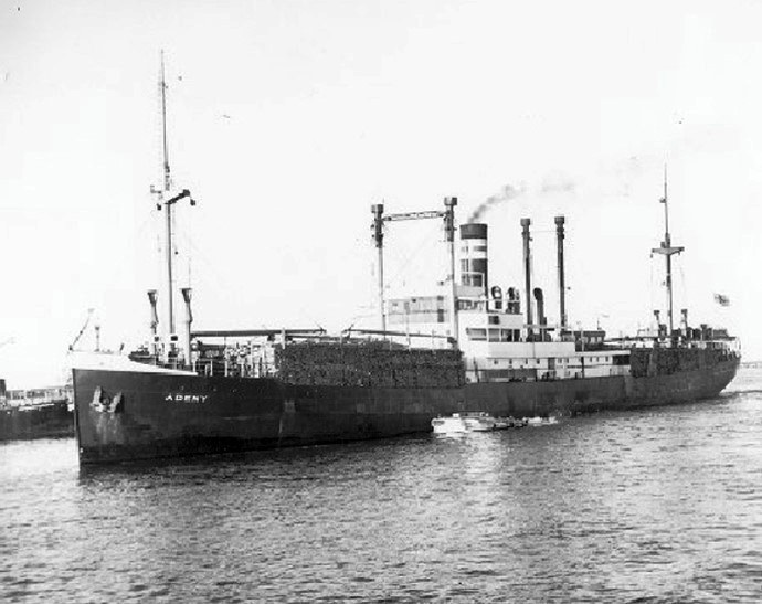 OSL34719470320001 VESTVANGEN