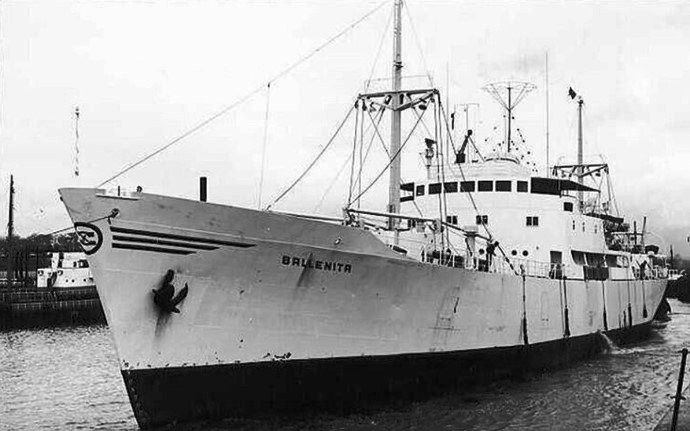 OSL34719570120001 BALLENITA