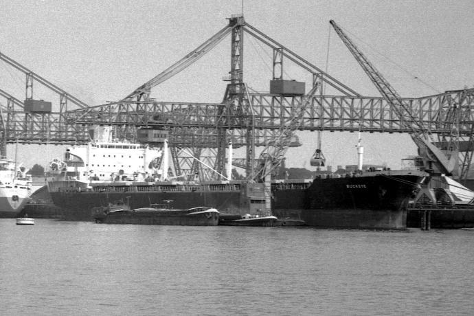 OSL34719670320001 BUCKEYE