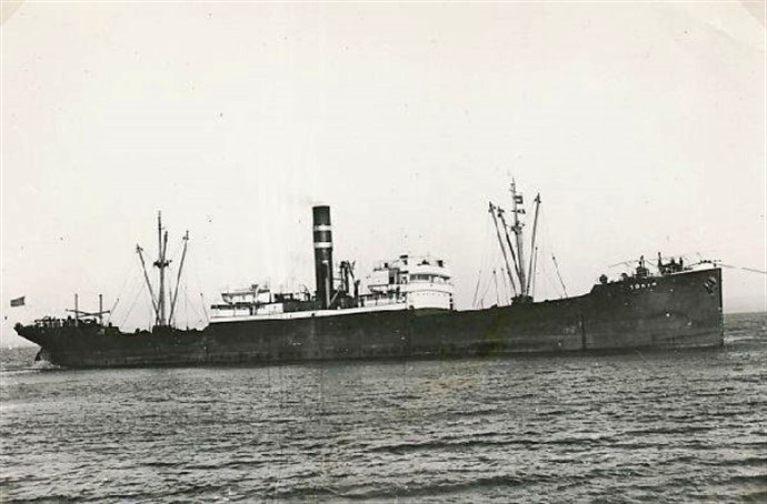 OSL37019290120001 TORAN