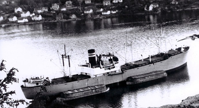 OSL37219470220001 RINGERD