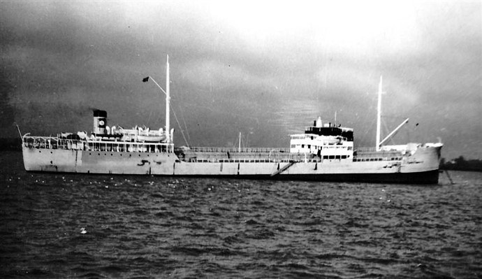 OSL38119300120001 STRIX