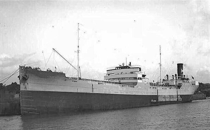 OSL38119310120001 STEGG