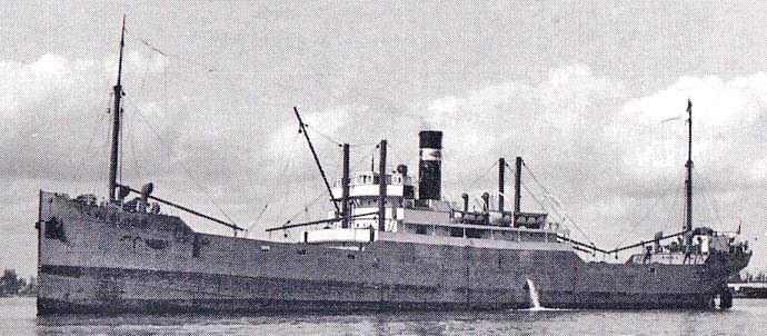 OSL39119350120001 HAV