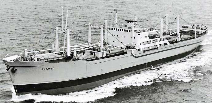 OSL40919560120001 SKAUBO