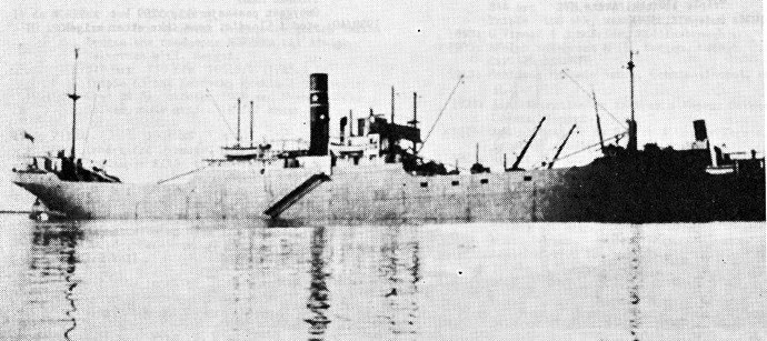 OSL45219340120001 SENTA