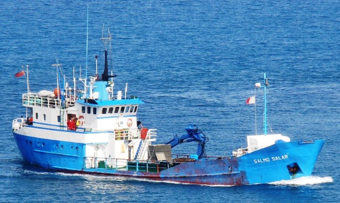 OSL47119810220001 LOSTAR