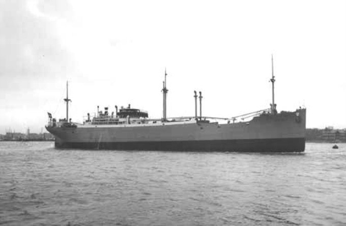 PGR24219260120001 BRYNJE