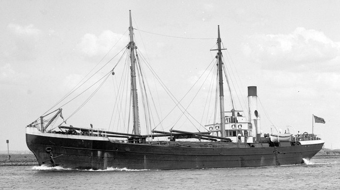 PGR25719070120001 LILLA
