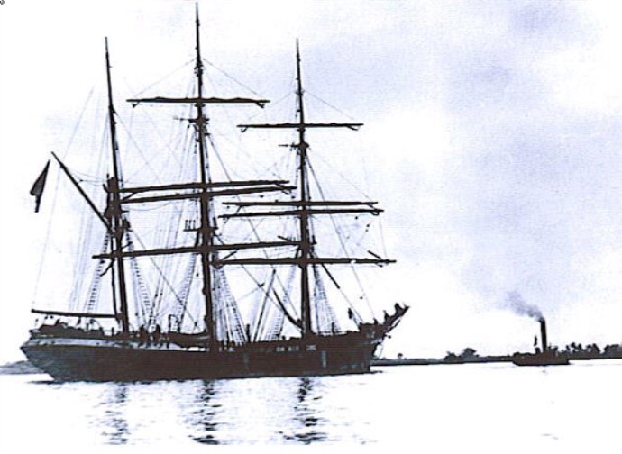 RIS40919130120001 DORADE