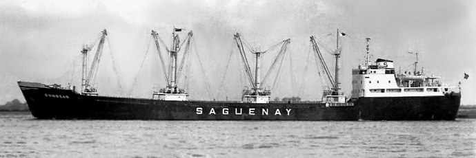 RIS41019590120001 SUNBEAR.JPG