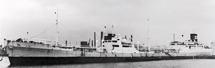 SFJ00119480720001 JAN