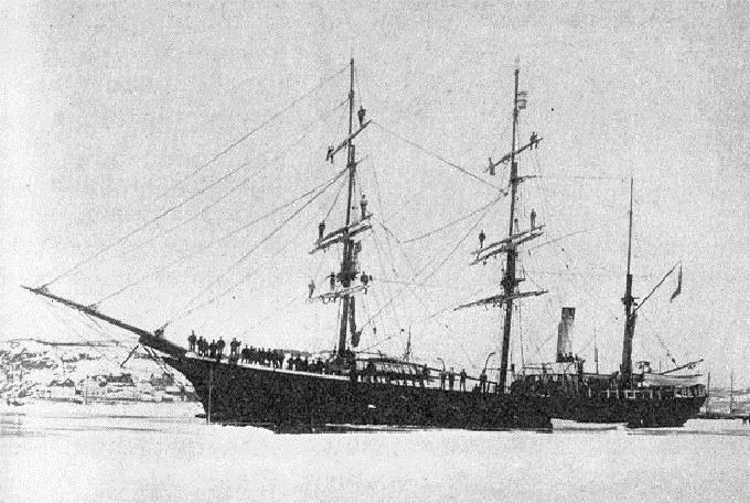 SFJ00218930120001 Castor