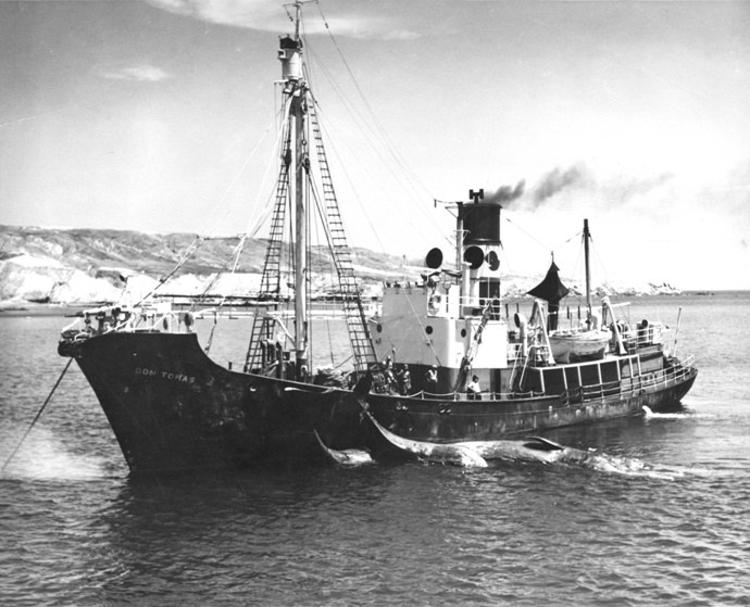 SFJ00219410520001 HAUK