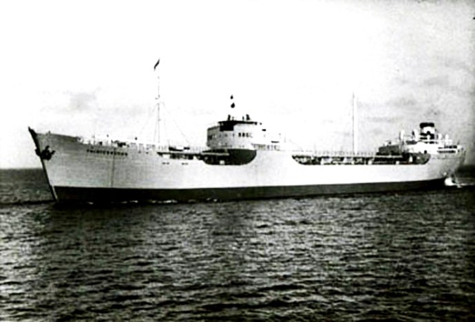 SKN27119550120001 HAVLIDE