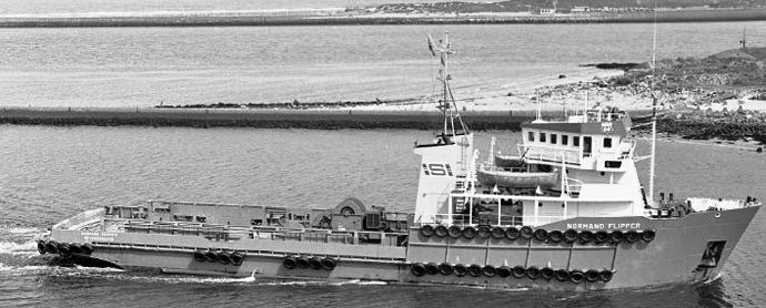 SKU10019750220001 NORMAND FLIPPER