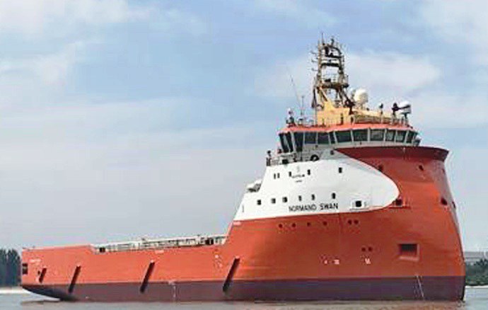 SKU10020191220001 NORMAND SWAN