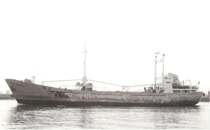 STG11419730120001 ARNE VIK