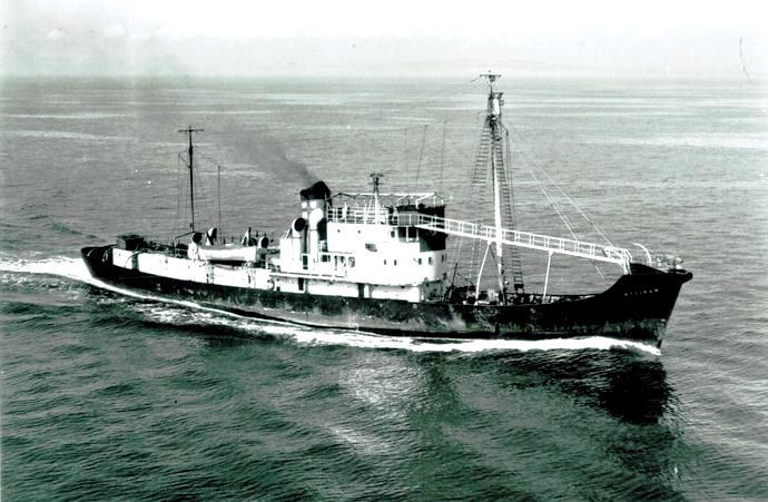 TBG10119490320001 PELIKAN