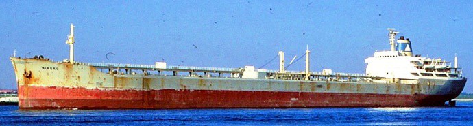 TBG10219650120001 MINORU