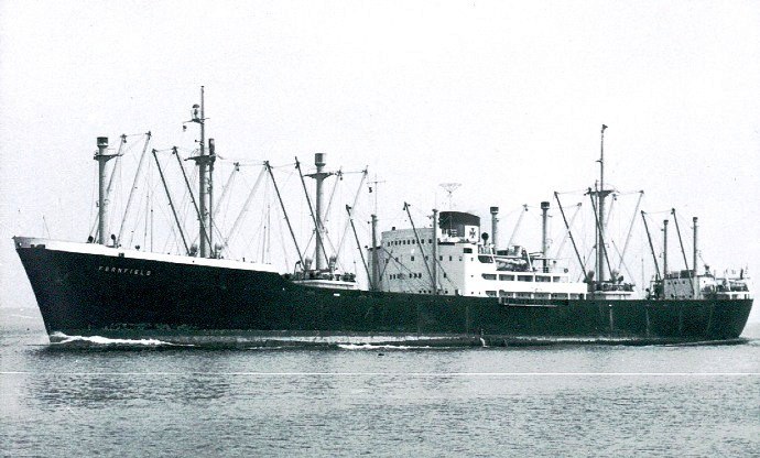 LTK00119480620001 FERNFIELD