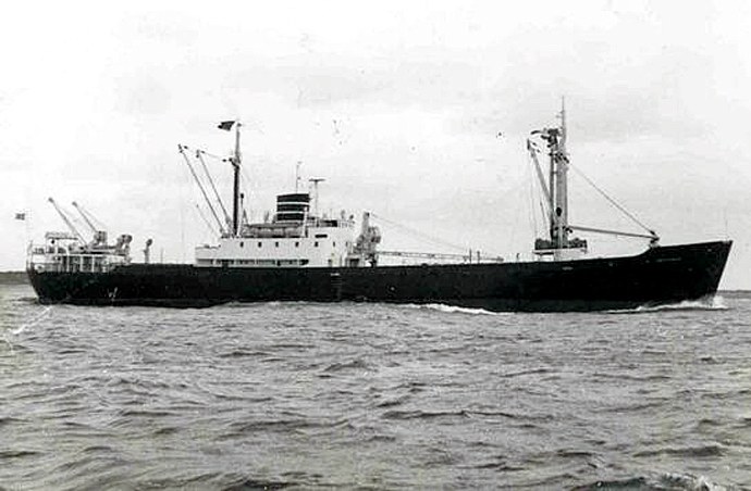 LTK00119481720001 DELFINUS