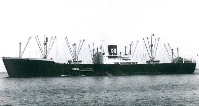 LTK00119501220001 FERNSEA