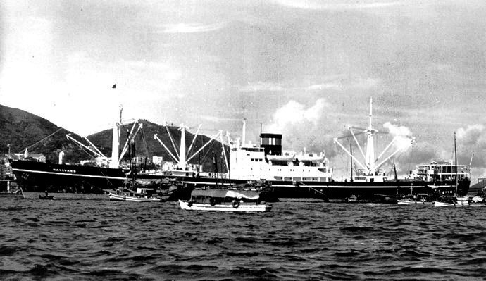 LTK00119540120001 HALLVARD