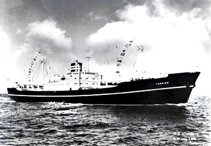 LTK00119541120001 TERRIER
