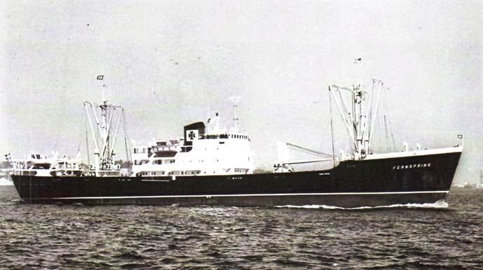 LTK00119551420001 FERNSPRING.JPG