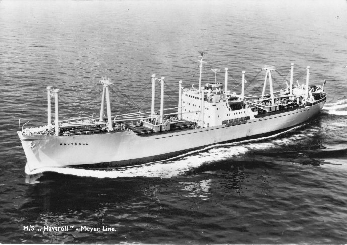 LTK00119560720001 HAVTROLL