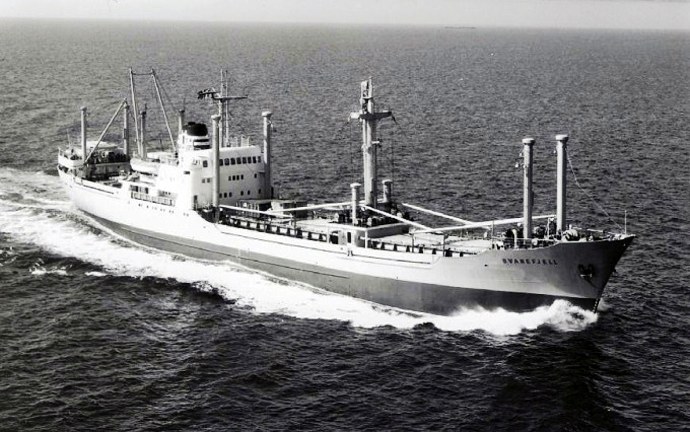 LTK00119621120001 SVANEFJELL